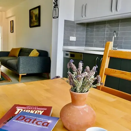 Katya's