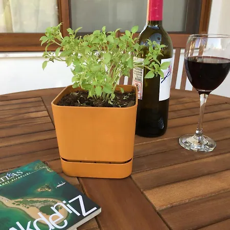 Katya's Case de vacanță *